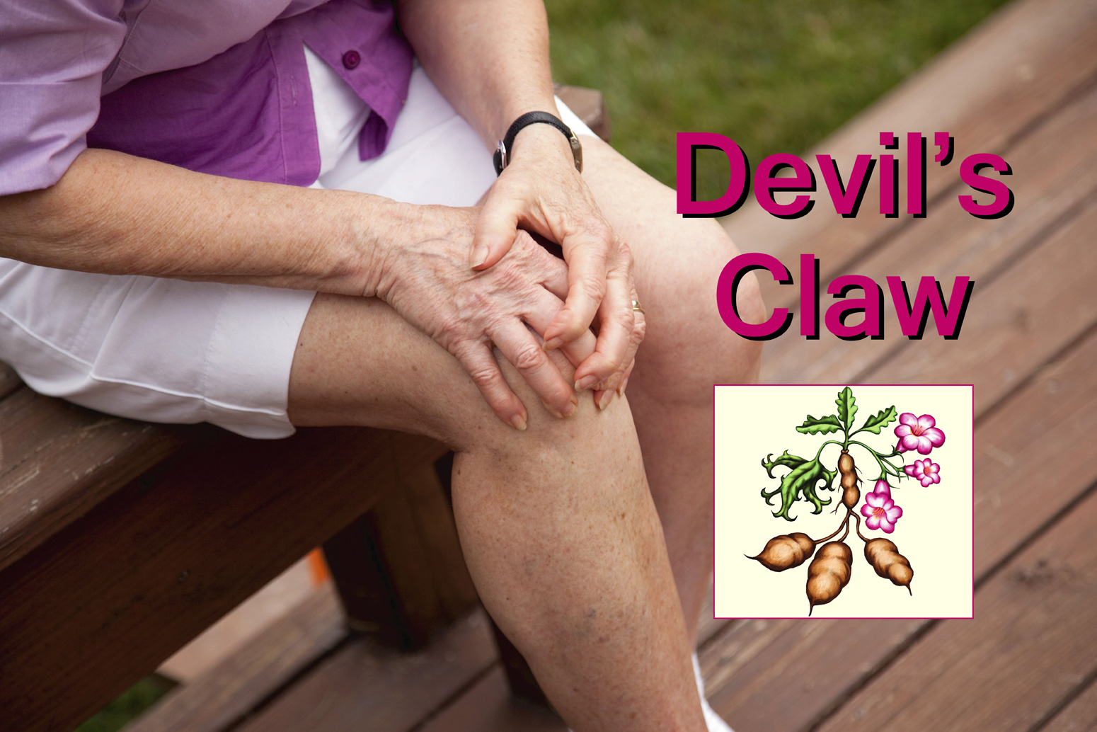 DEVIL'S CLAW